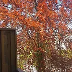 Villa Easy Stay Victus Sopot Walk To The Pier By Noclegi Renters Sopot