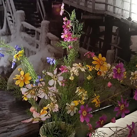 빌라 Superiq 소포트