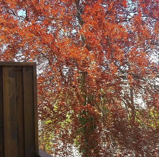 Вилла Superiq Сопот